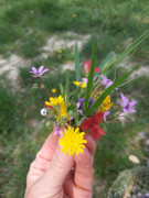 Le bouquet